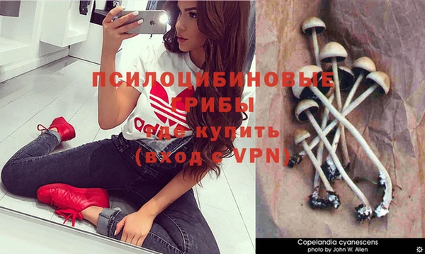 стафф Абинск