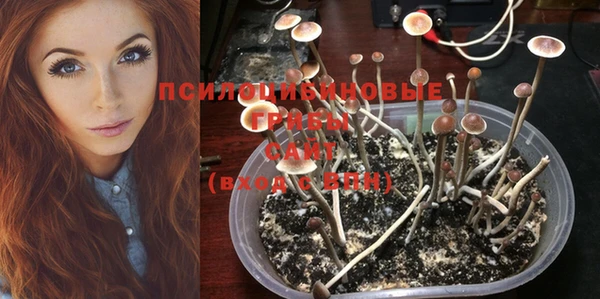 стафф Абинск